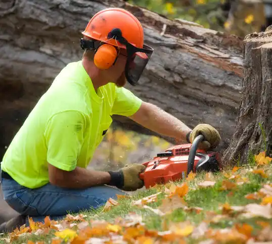 tree services Scooba